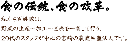 私たち百姓隊は、 野菜の生産〜加工〜直売を一貫して行う、 20代のスタッフが中心の宮崎の農業生産法人です。